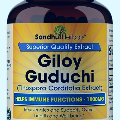 Amazon.com: Sandhu Herbals Organic Giloy (Guduchi) Powder Herbal  Capsule|120 Capsules| Made in The USA| Natural Herbal Supplement for Immune  Support, Energy, and Digestion : Health & Household